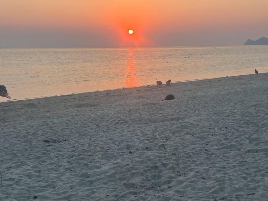Sunset Serenity Cove Ko Pha Ngan Buitenkant foto