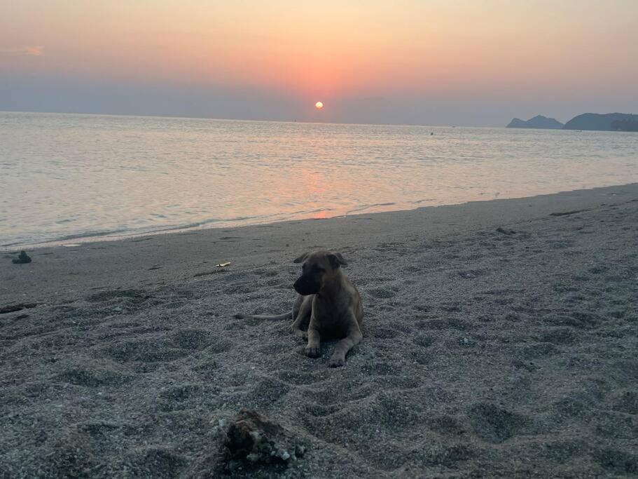 Sunset Serenity Cove Ko Pha Ngan Buitenkant foto
